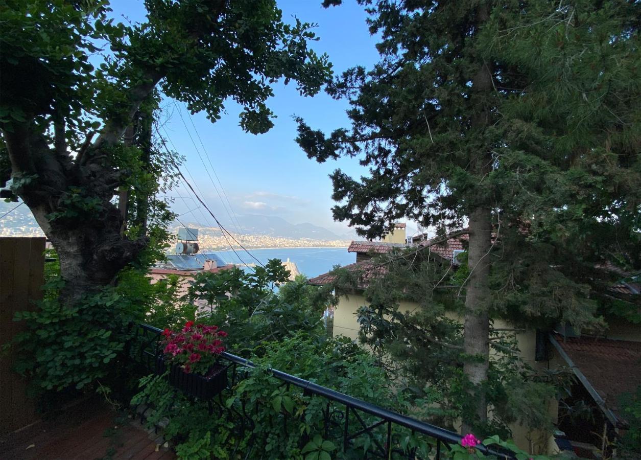 Hotell Castle Boutique